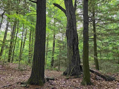 0 Highbridge Road Georgia VT 05454