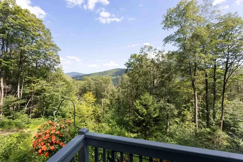 231 Bergrucken Lane Readsboro VT 05350