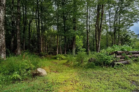 231 Bergrucken Lane Readsboro VT 05350