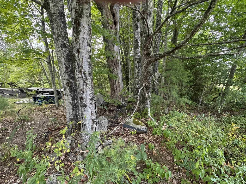 7 Garney Road Brookfield NH 03872