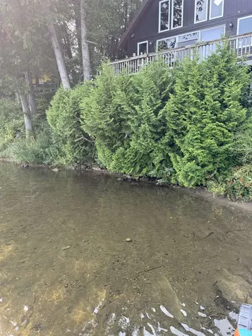 197 Monette Place Glover VT 05875