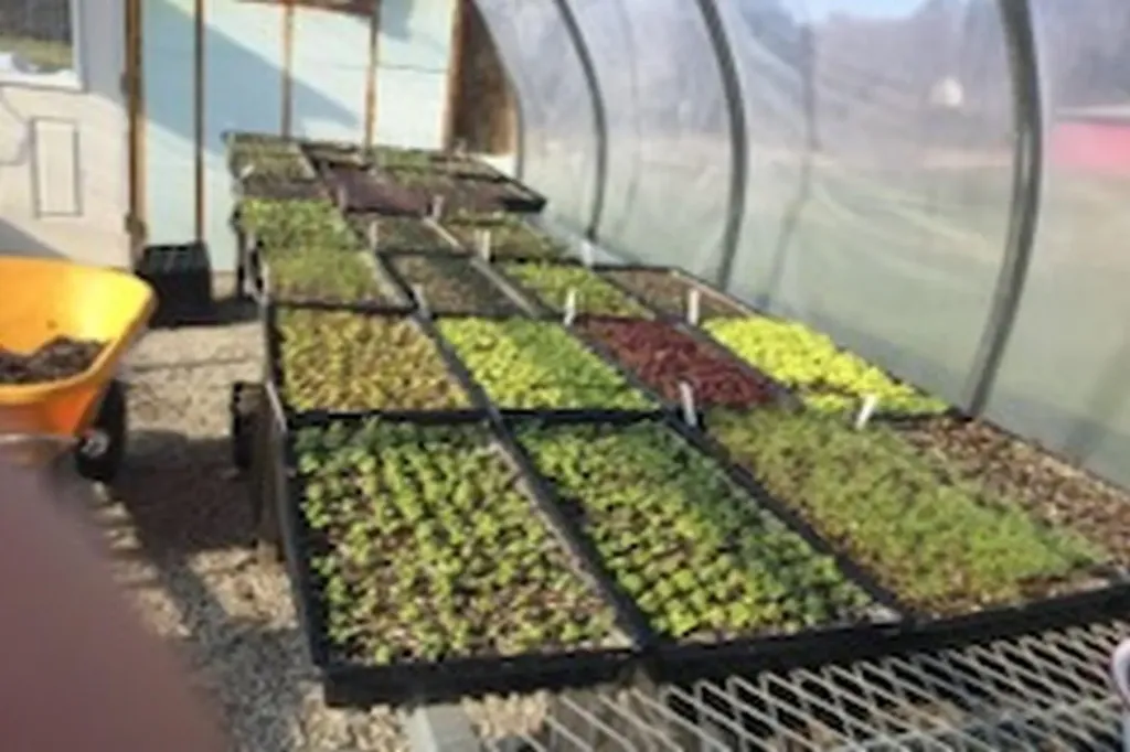 2636 Vt Route 3 Pittsford VT 05763