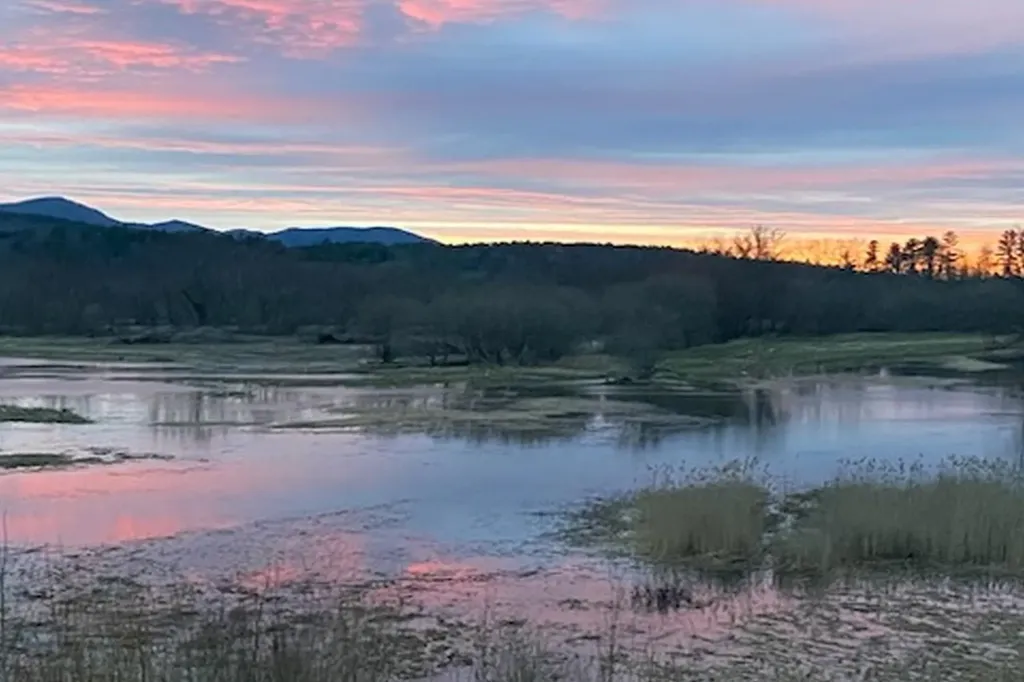 2636 Vt Route 3 Pittsford VT 05763