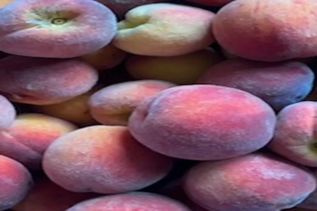 2636 Vt Route 3 Pittsford VT 05763