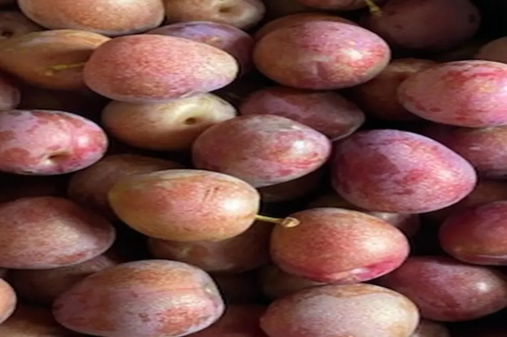 2636 Vt Route 3 Pittsford VT 05763