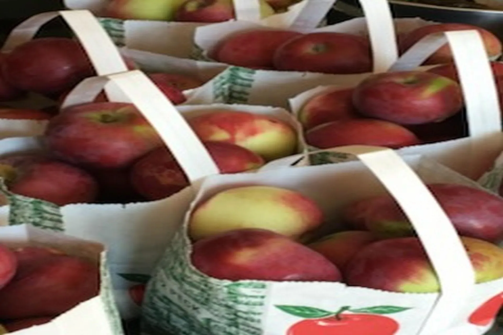 2636 Vt Route 3 Pittsford VT 05763