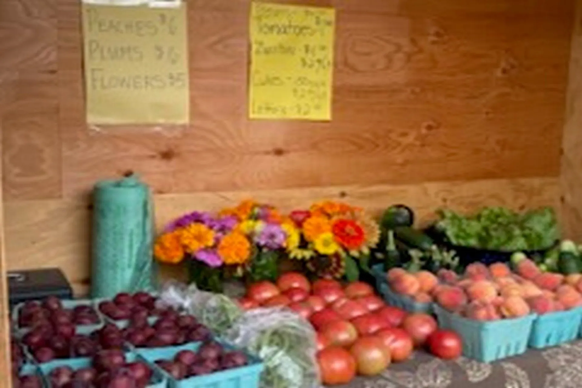 2636 Vt Route 3 Pittsford VT 05763