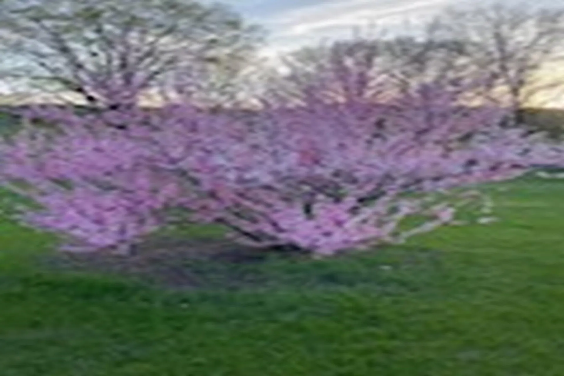 2636 Vt Route 3 Pittsford VT 05763