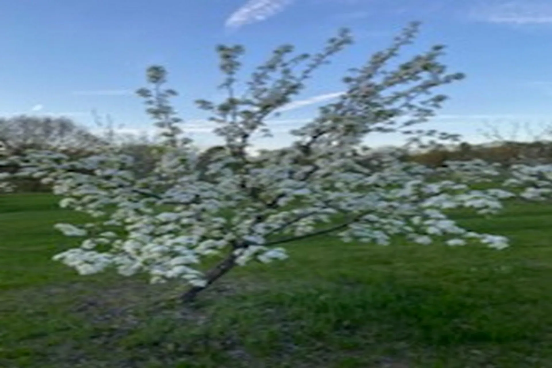 2636 Vt Route 3 Pittsford VT 05763