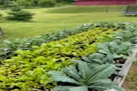 2636 Vt Route 3 Pittsford VT 05763