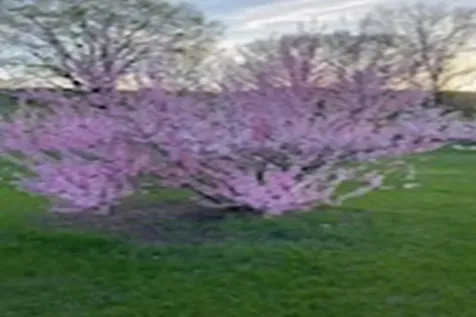 2636 Vt Route 3 Pittsford VT 05763