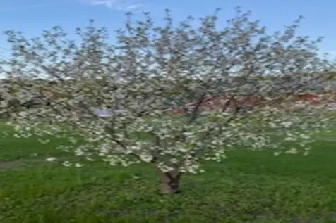 2636 Vt Route 3 Pittsford VT 05763