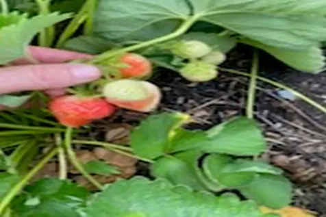 2636 Vt Route 3 Pittsford VT 05763