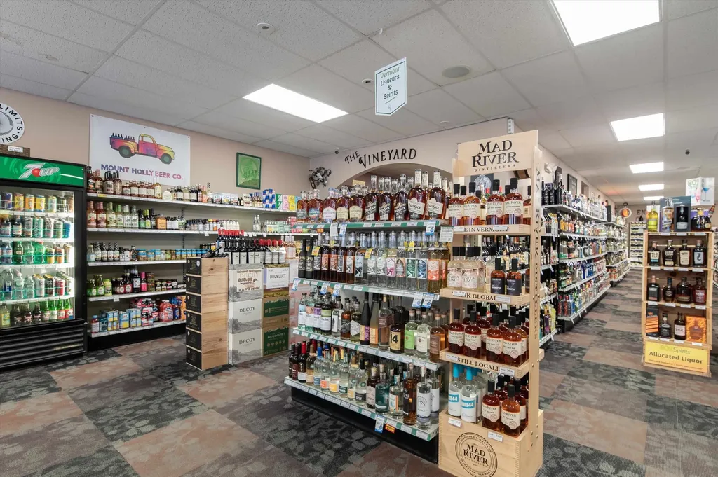 199 & 207 Main Street Ludlow VT 05149