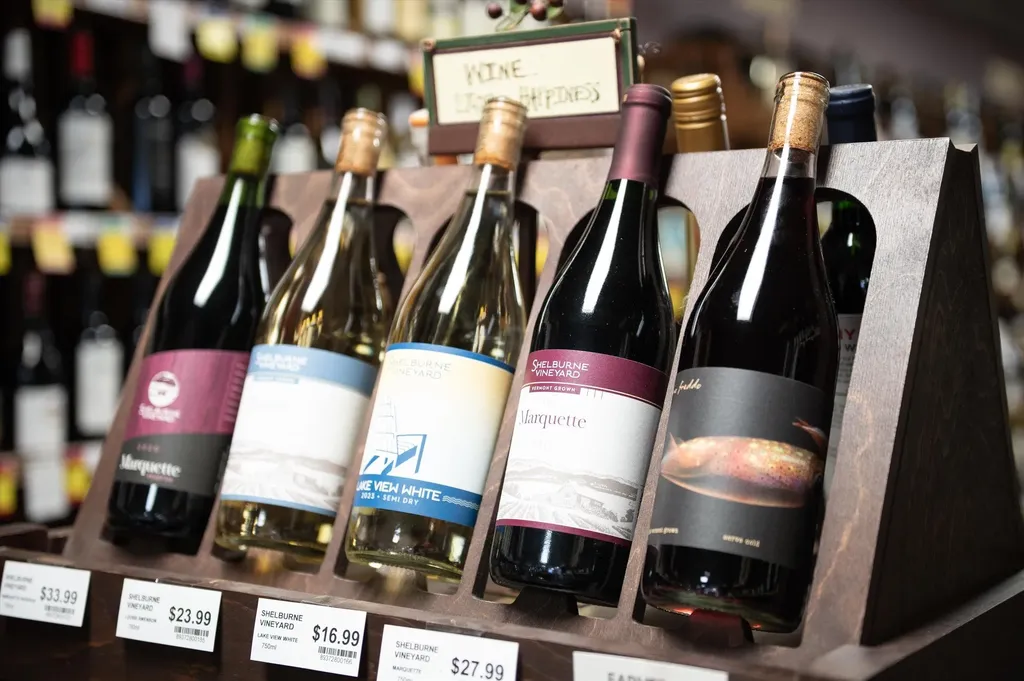 199 & 207 Main Street Ludlow VT 05149