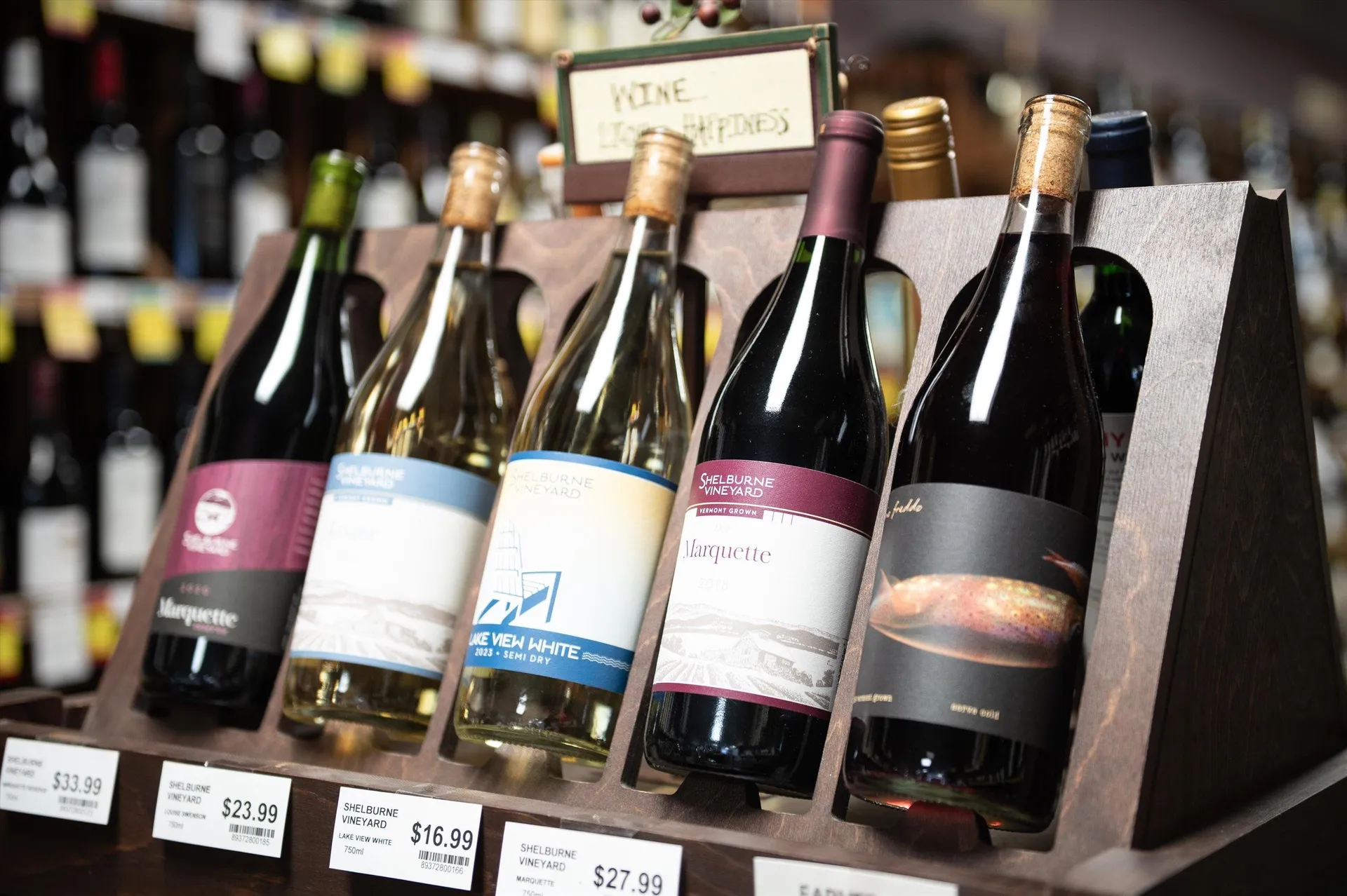 199 & 207 Main Street Ludlow VT 05149