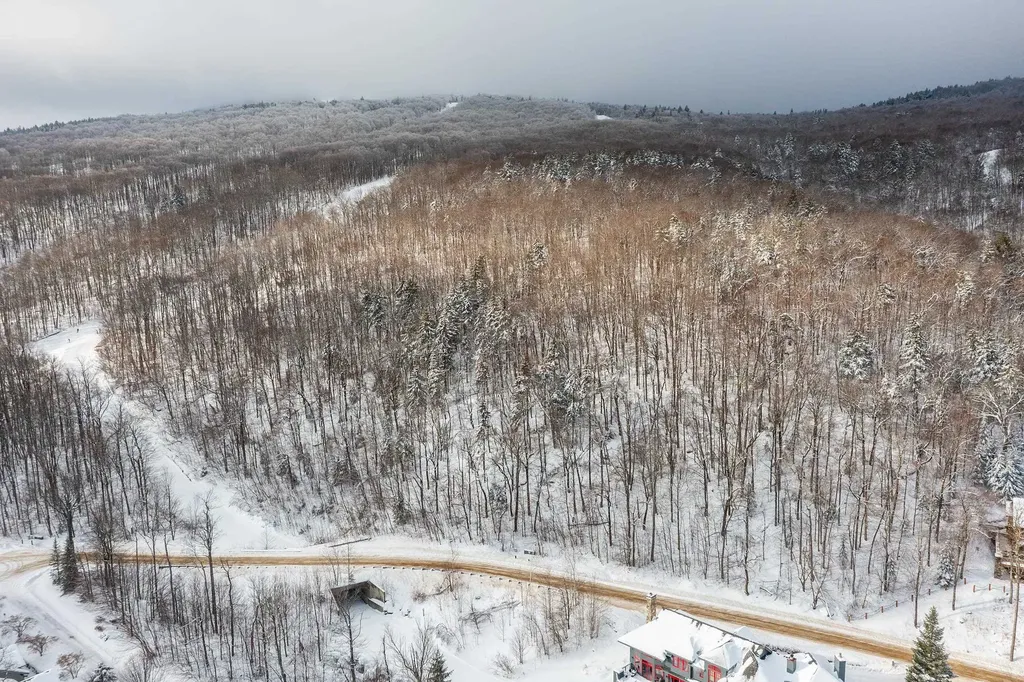 M-17 Moon Shadow Drive Ludlow VT 05149