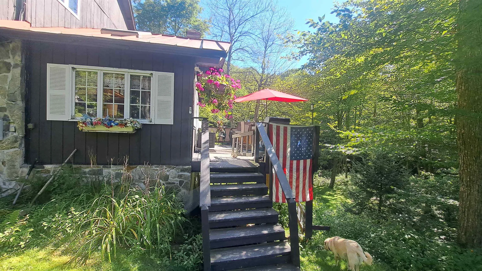 204 Blue Brook Road Dover VT 05356