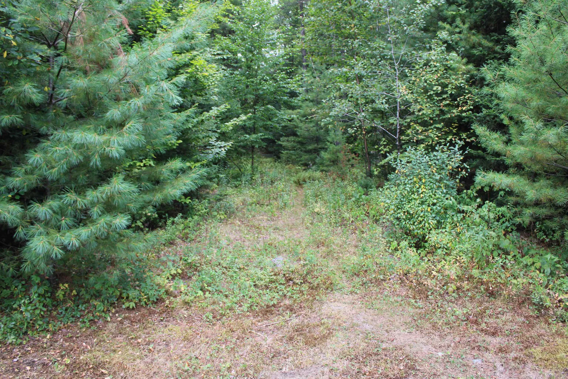 294 Walker Pit Road Concord VT 05824