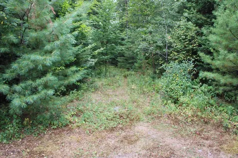 294 Walker Pit Road Concord VT 05824