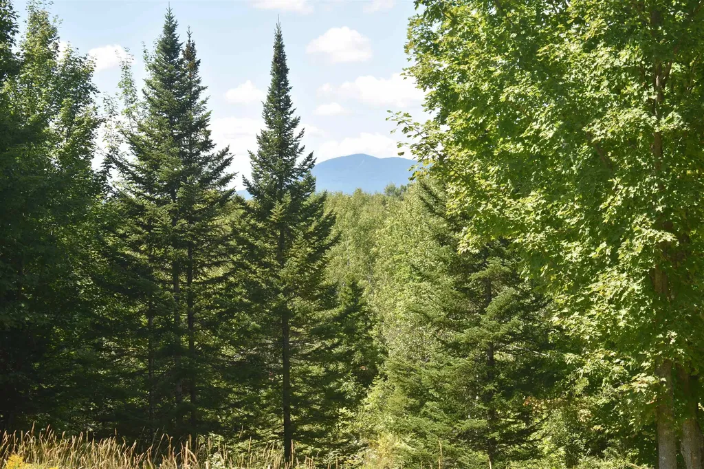 1982 Robtoy Road Lowell VT 05847