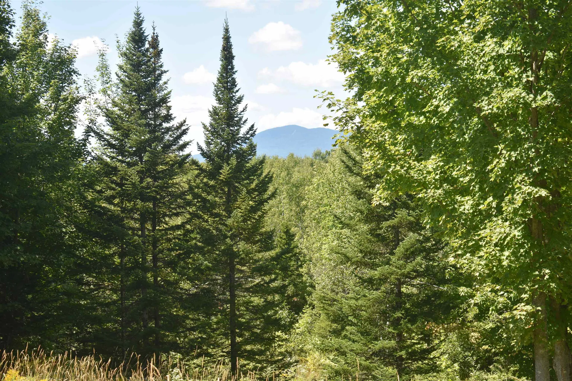 1982 Robtoy Road Lowell VT 05847