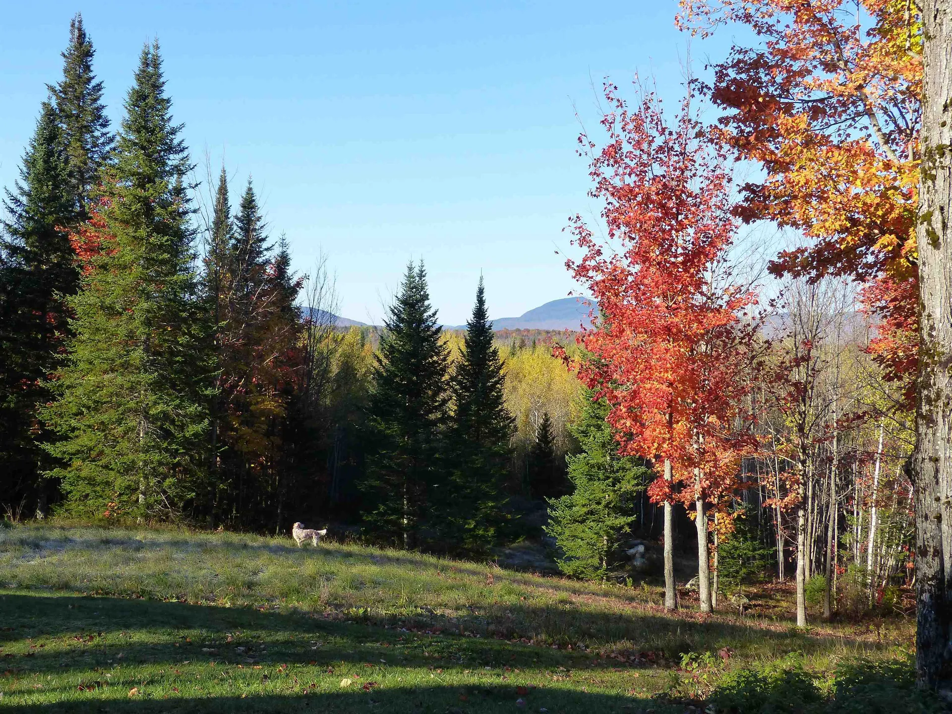 1982 Robtoy Road Lowell VT 05847