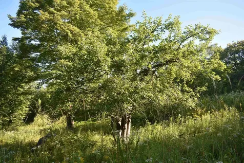 1982 Robtoy Road Lowell VT 05847