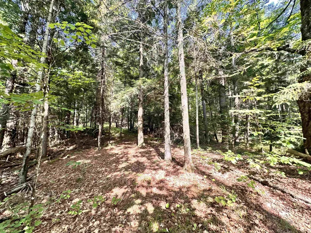 432 Glover Road Groton VT 05046