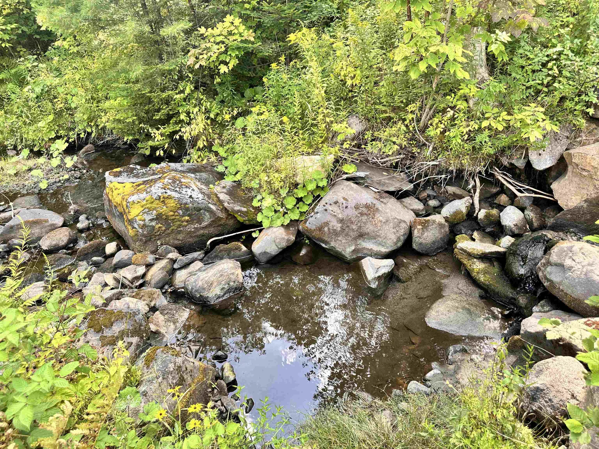 432 Glover Road Groton VT 05046