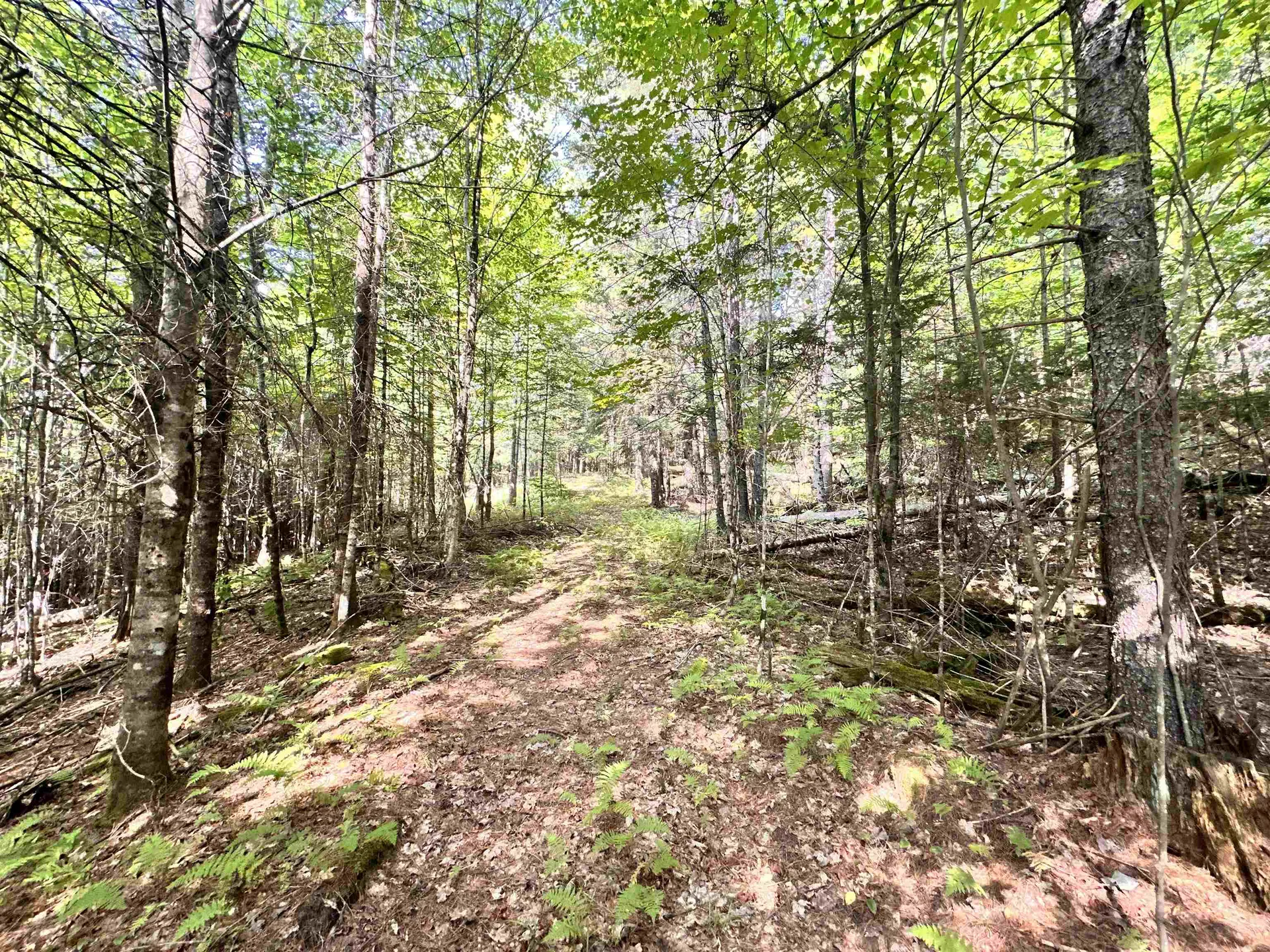 432 Glover Road Groton VT 05046