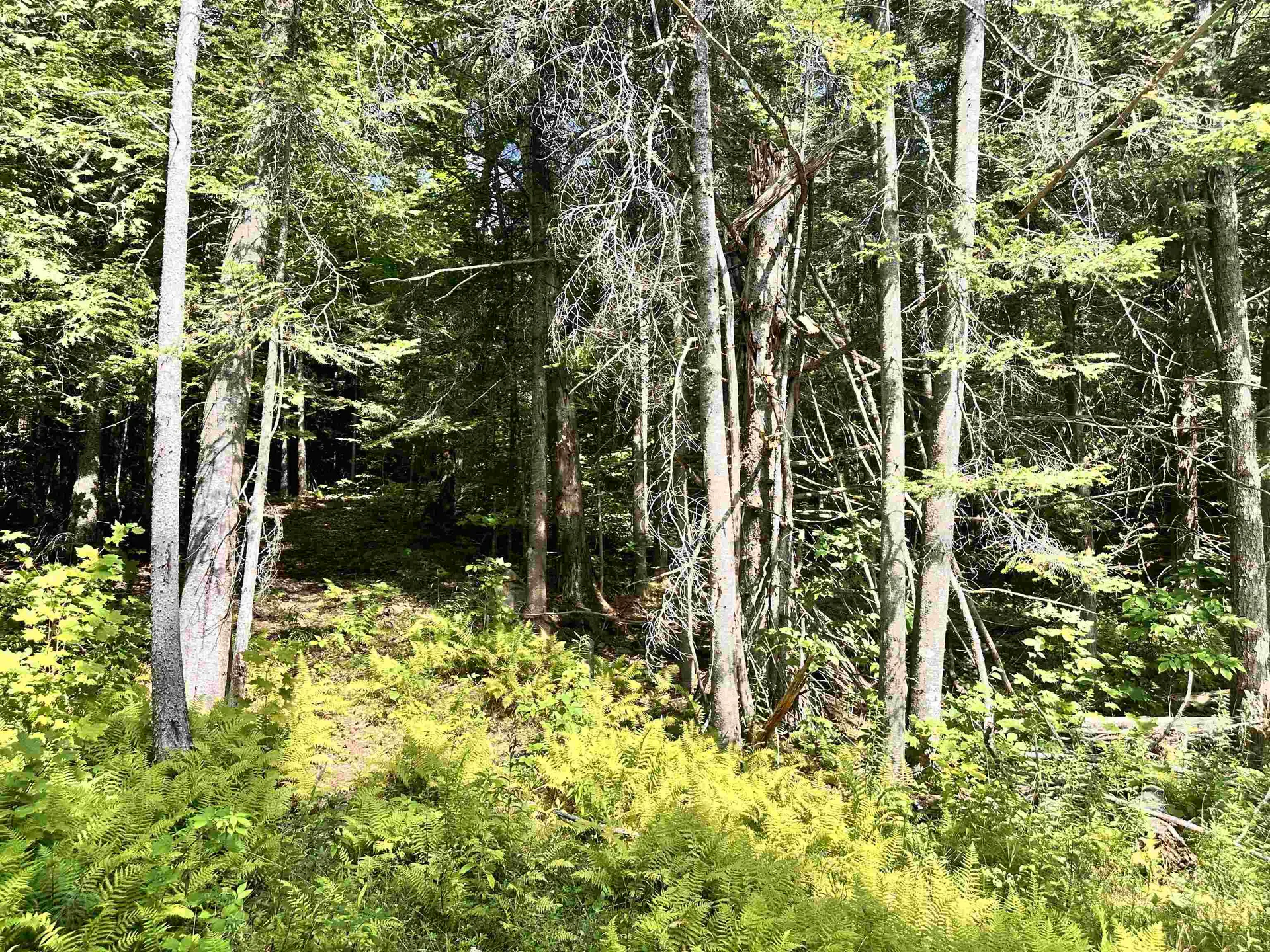 432 Glover Road Groton VT 05046