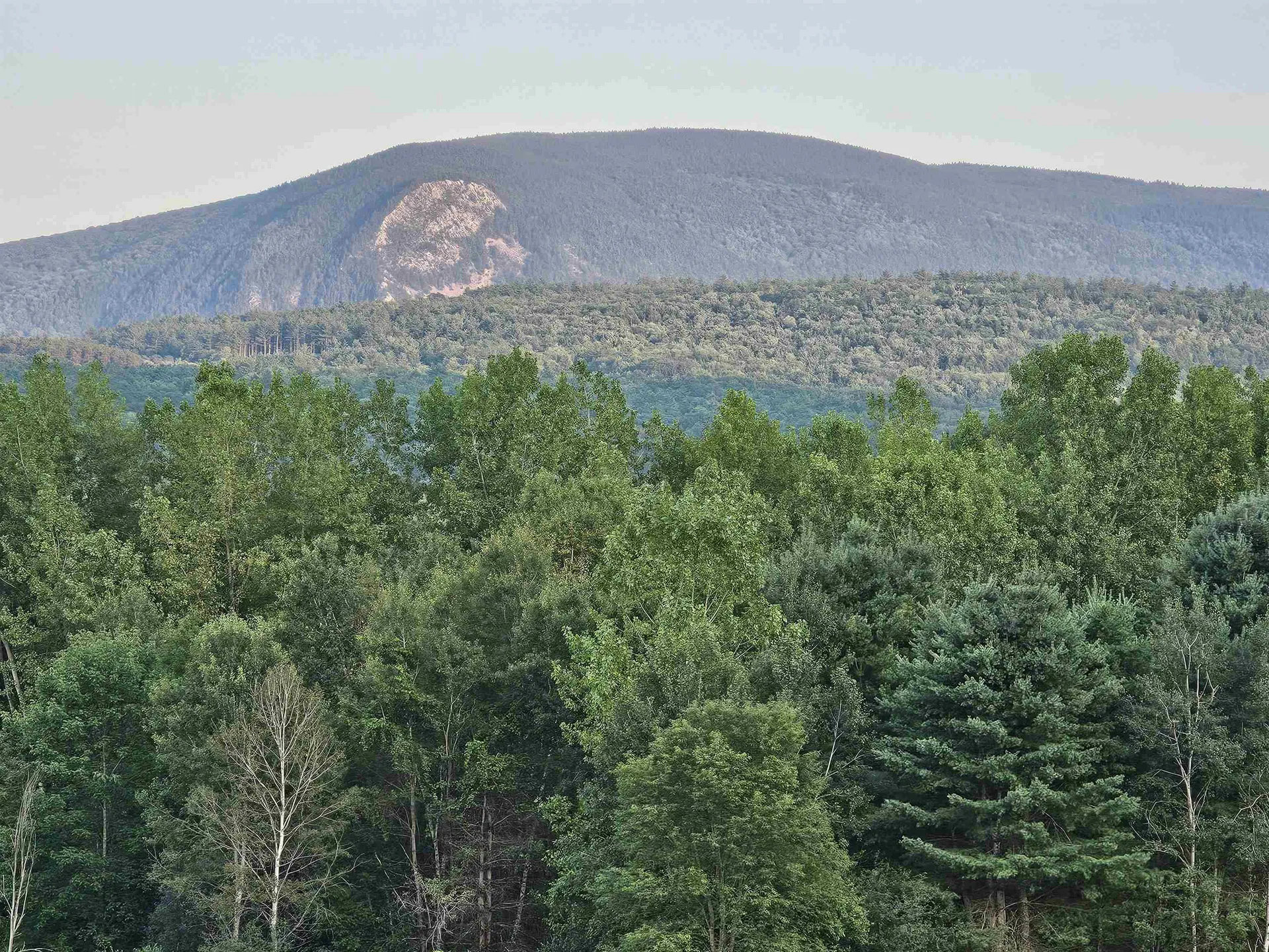 333 Creek Road Wallingford VT 05773