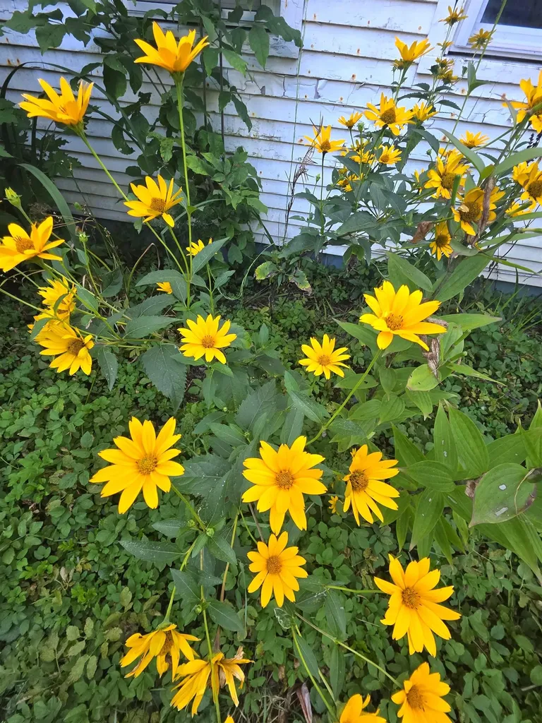 1272 Route 12s Northfield VT 05663