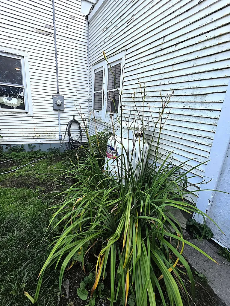 1272 Route 12s Northfield VT 05663