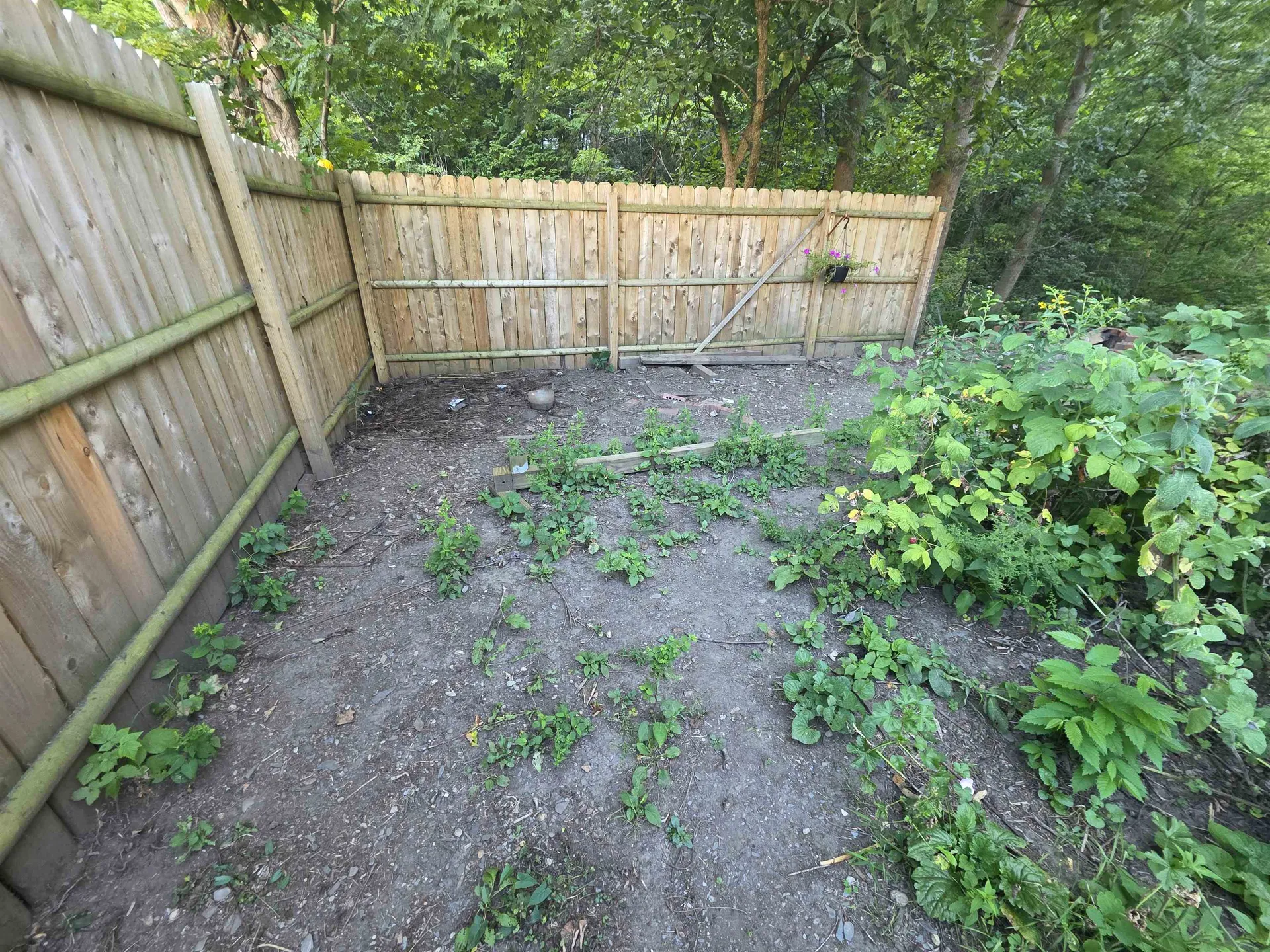 1272 Route 12s Northfield VT 05663