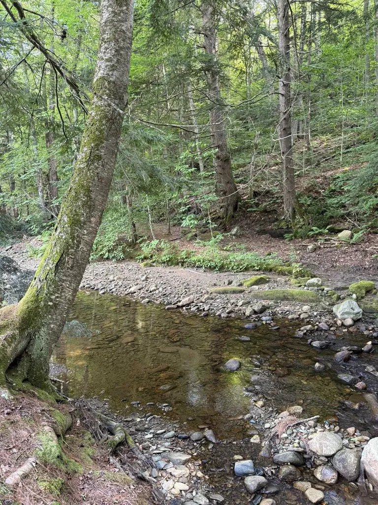 586 South Wardsboro Road Wardsboro VT 05355