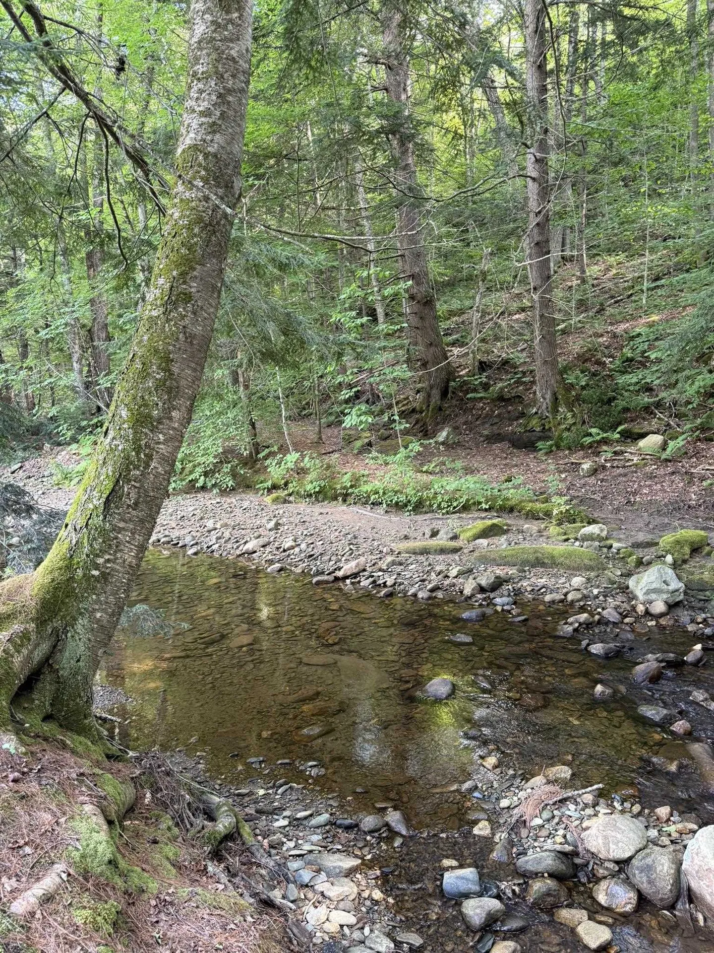 586 South Wardsboro Road Wardsboro VT 05355