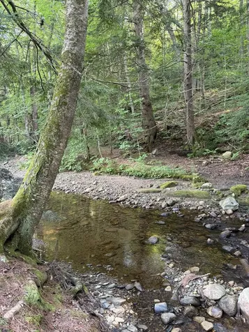 586 South Wardsboro Road Wardsboro VT 05355