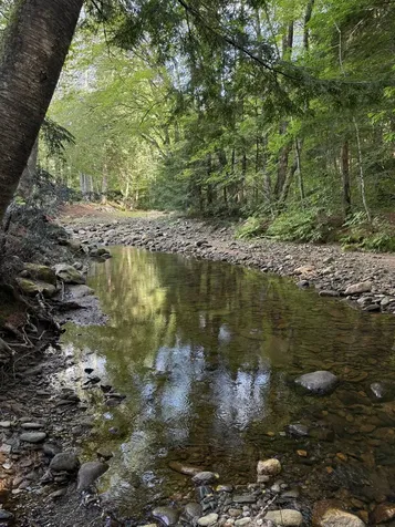 586 South Wardsboro Road Wardsboro VT 05355