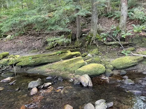 586 South Wardsboro Road Wardsboro VT 05355