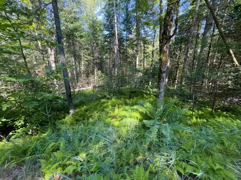 00 Brushwood Road Haverhill NH 03765