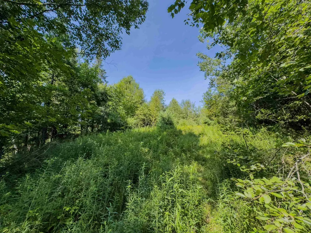 00 Brushwood Road Haverhill NH 03765