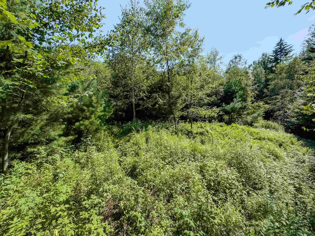 00 Brushwood Road Haverhill NH 03765