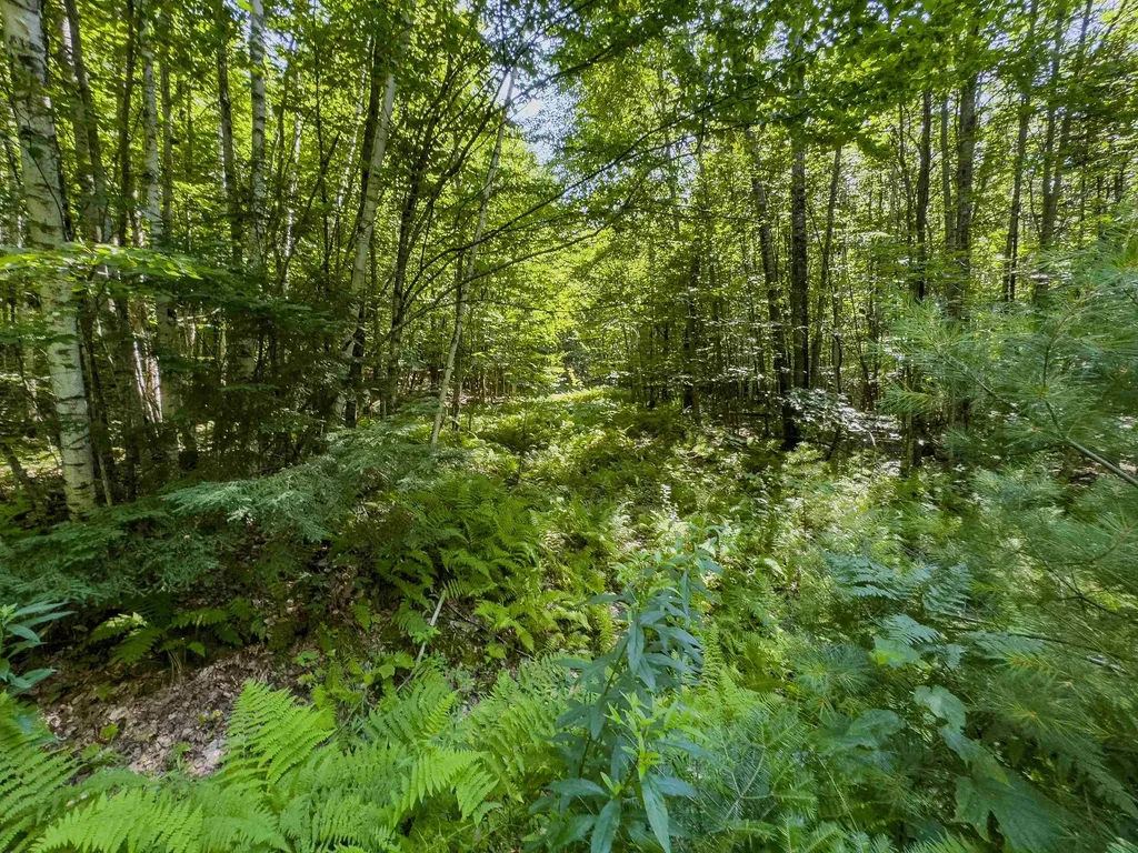 00 Brushwood Road Haverhill NH 03765