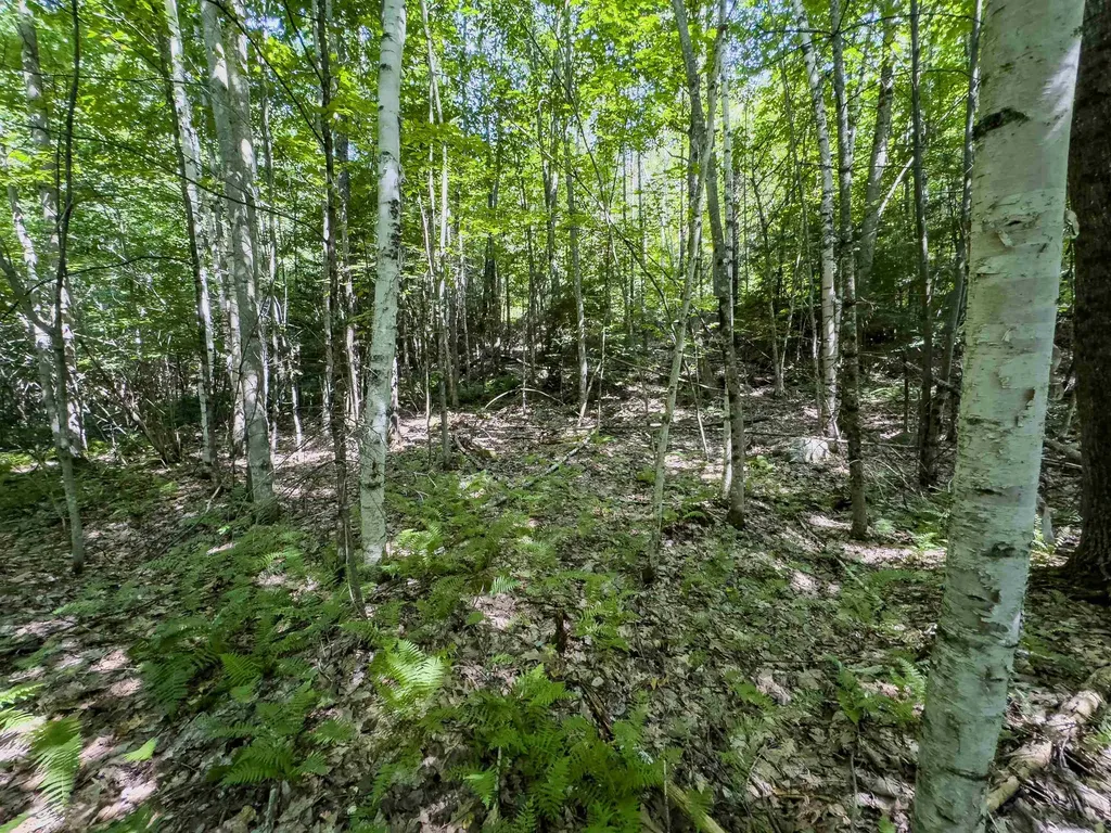 00 Brushwood Road Haverhill NH 03765