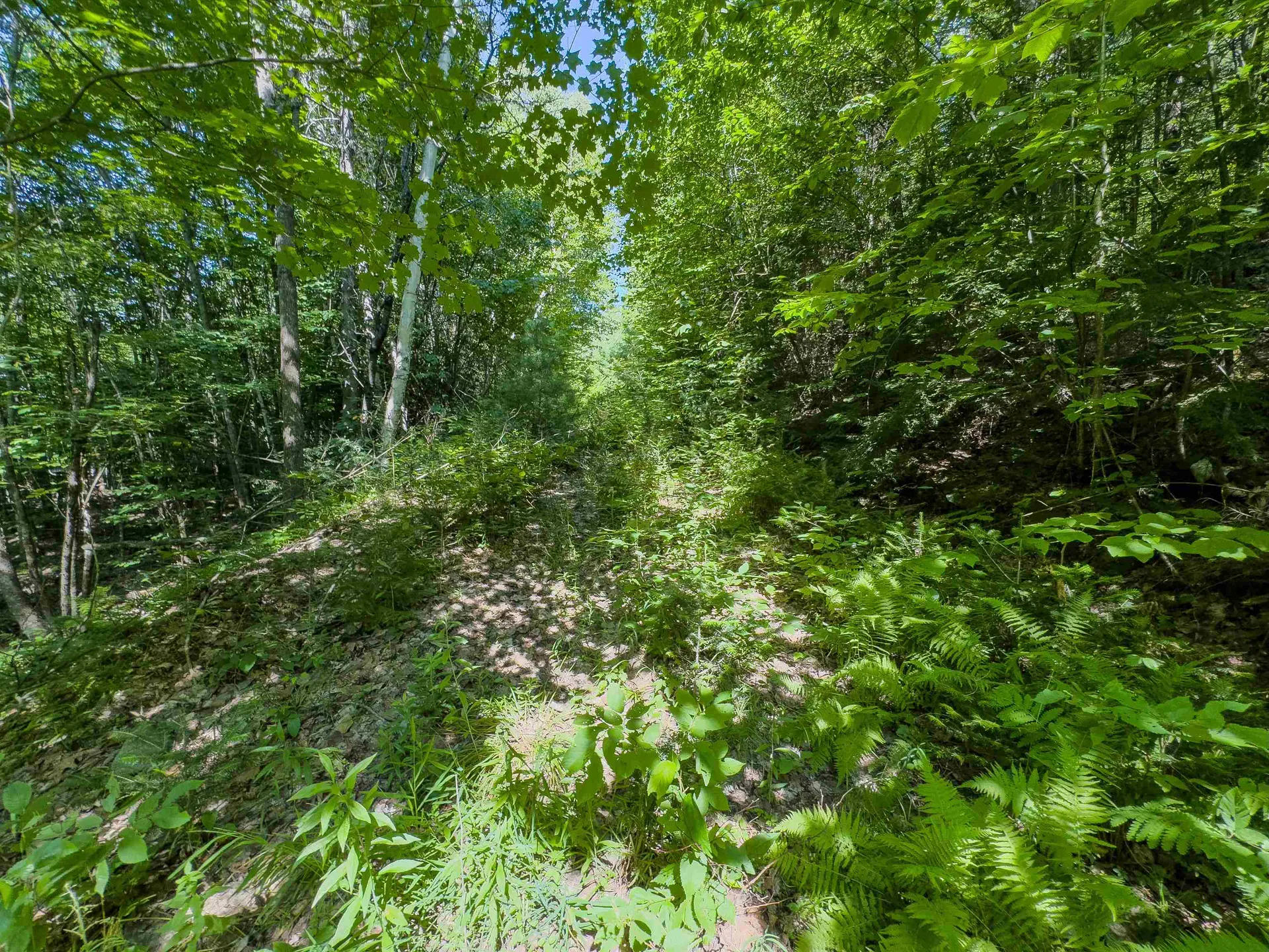 00 Brushwood Road Haverhill NH 03765