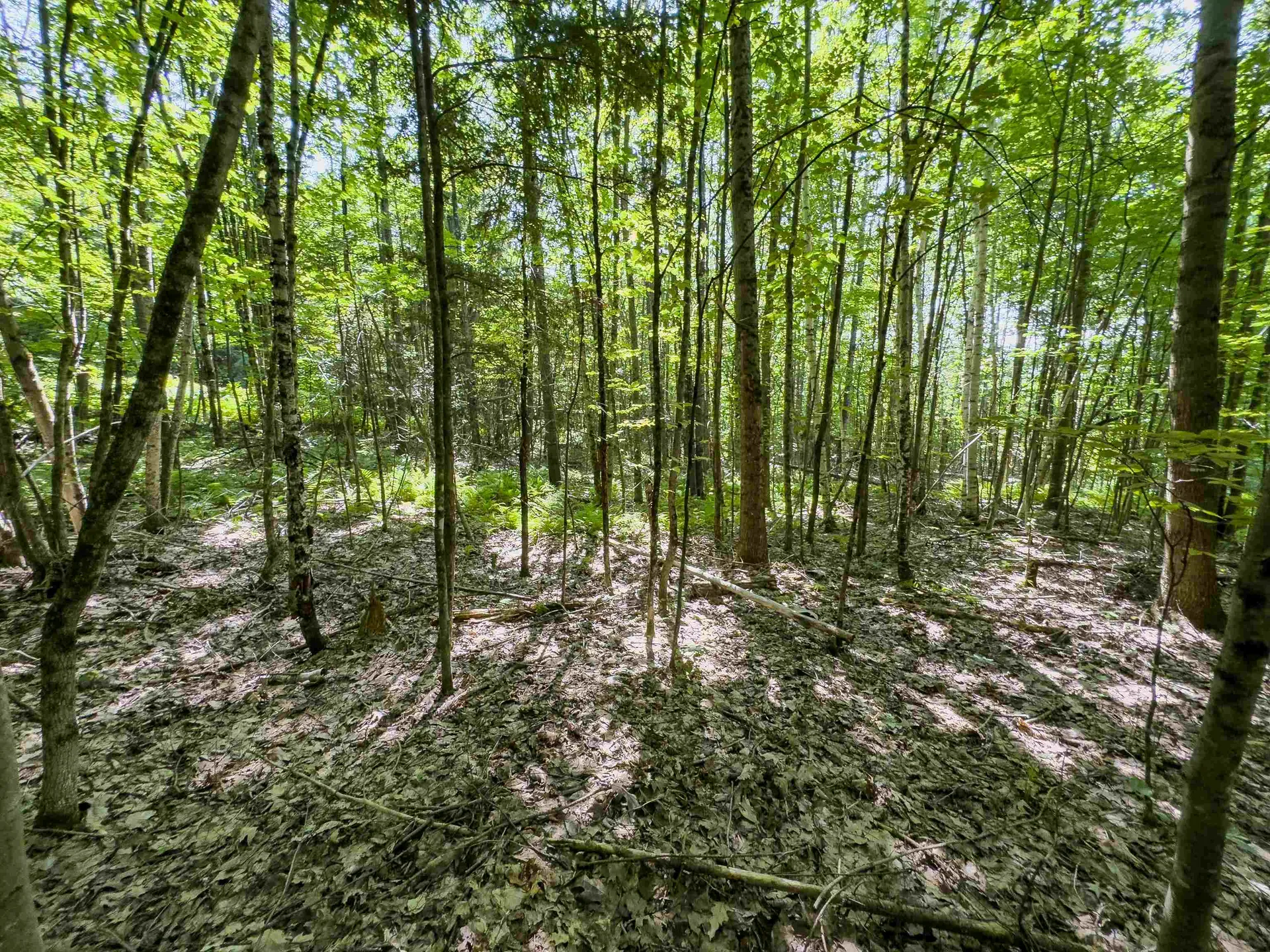 00 Brushwood Road Haverhill NH 03765