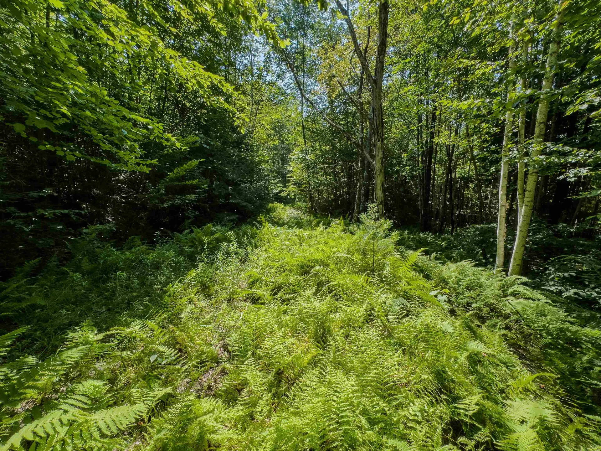 00 Brushwood Road Haverhill NH 03765