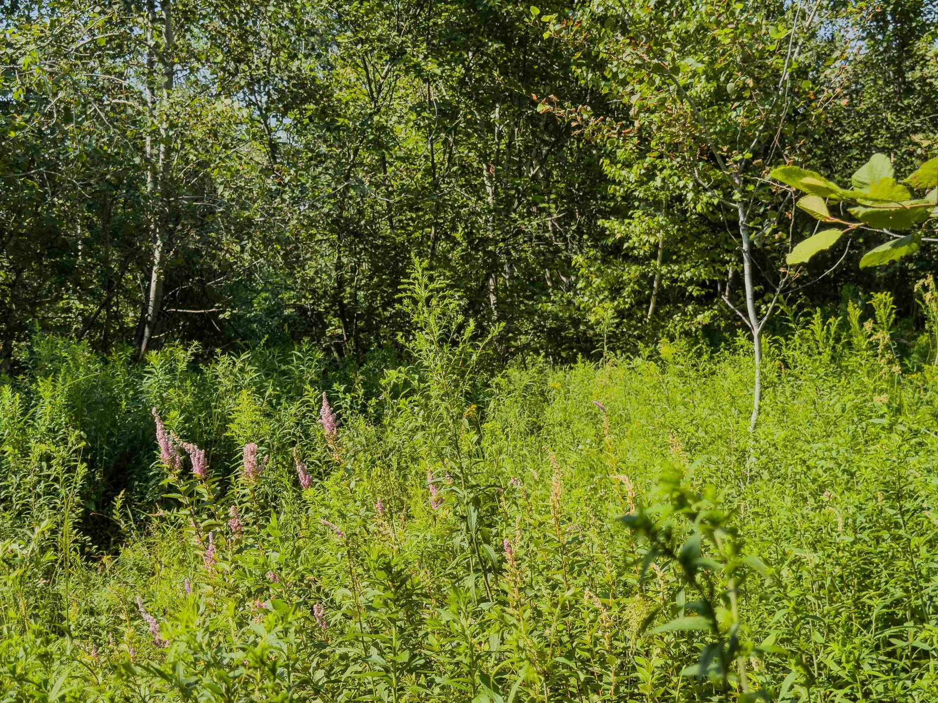 00 Brushwood Road Haverhill NH 03765